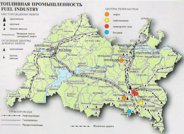 Глава статистические данные 1