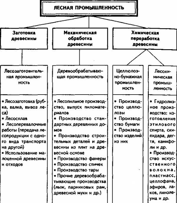 Особенности лесной промышленности в россии – Лесная промышленность 1