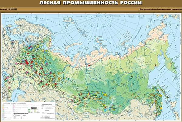 Особенности лесной промышленности в россии – Лесная промышленность 2