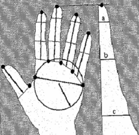 Скуд на основе идентификации по геометрическому строению руки и пальцев 1