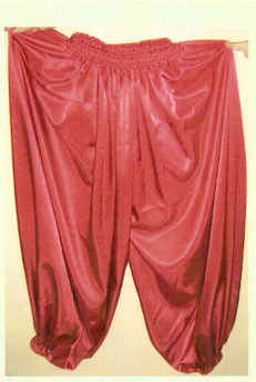  юбка предшественница брюк  1