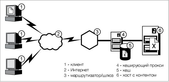  обратные прокси с кэшем 1