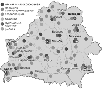 Производство молочных продуктов в Беларуси 12