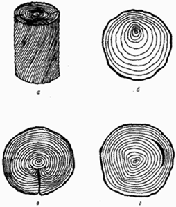  пороки древесины 3