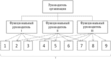 Функциональная структура 1