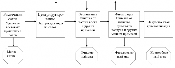 Технология получения товарного меда на частной пасеке Кузнецова Ю.А 1