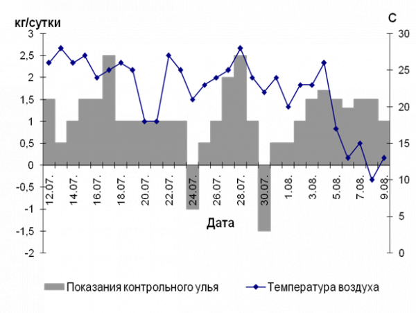 Технология получения товарного меда на частной пасеке Кузнецова Ю.А 4