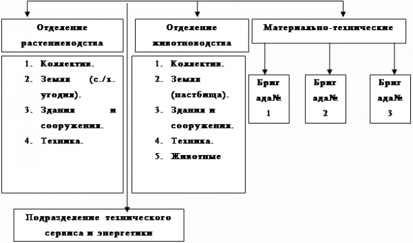  структура сельскохозяйственного предприятия оао орловский агрокомбинат и проектируемой мтс 2