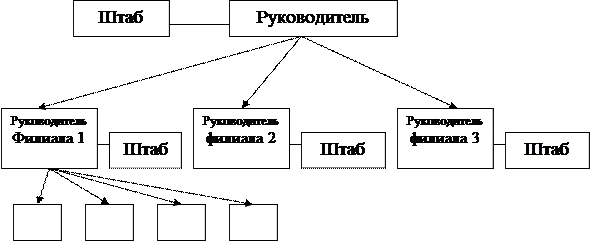 Дивизиональная структура управления 1
