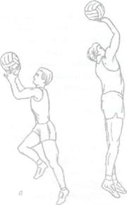 Особенности технической подготовки баскетболиста 8