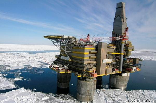 Экологические-проблемы-Северного-Ледовитого-океана-7