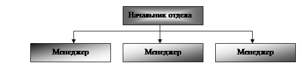  организационная структура финансового отдела оао аэропорт внуково  1