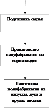 Схема организации технологического процесса в овощном цехе 1