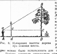 Высоту деревьев можно определить при помощи шеста этот способ состоит в следующем  2