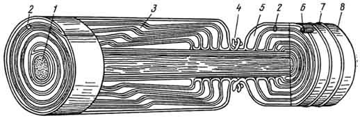 Миелиновые мякотные нервные волокна 2