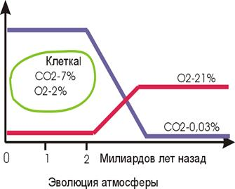  основы углекислотной теории дыхания к п бутейко 1